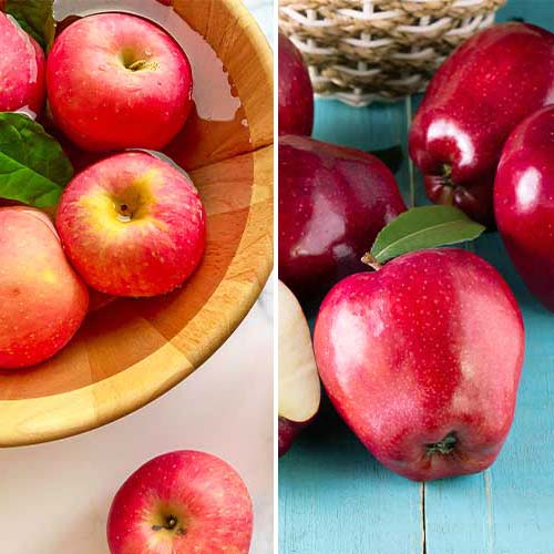 Hihetetlen ajánlat! Almafák Duó, 2 fajtából álló csemete készlet kép 1 termék 5872