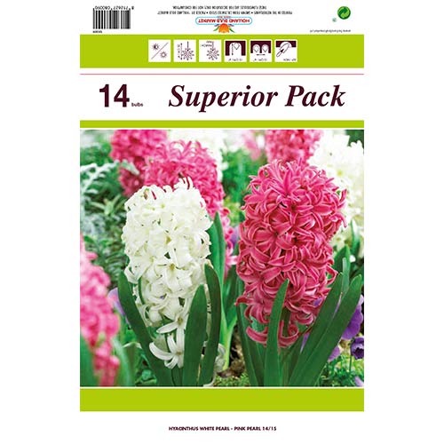 Hihetetlen ajánlat! Jácint, 14 db készlet kép 1 termék 67550