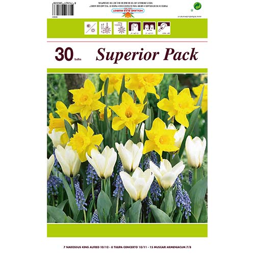 Hihetetlen ajánlat! Nárcisz, Tulipán és Gyöngyike, 30 db készlet kép 1 termék 67902