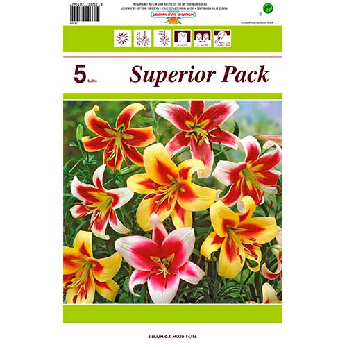 Hihetetlen ajánlat! Óriás liliom (OT-Hybrid), 5 db készlet termék fotó 1 Hihetetlen ajánlat! Óriás liliom (OT-Hybrid), 5 db készlet kép 1 termék 76474