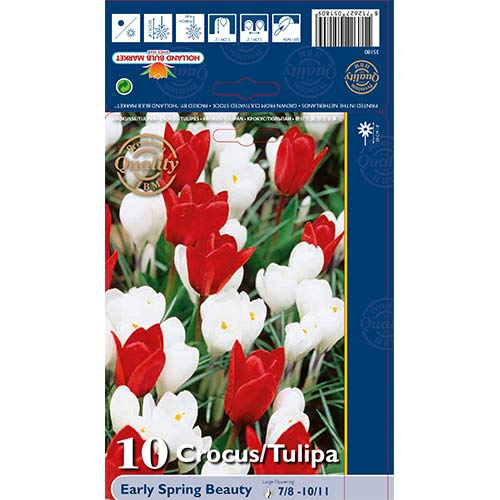 Hihetetlen ajánlat! Sáfrány és Tulipán, 10 db készlet termék fotó 1 Hihetetlen ajánlat! Sáfrány és Tulipán, 10 db készlet kép 1 termék 67543