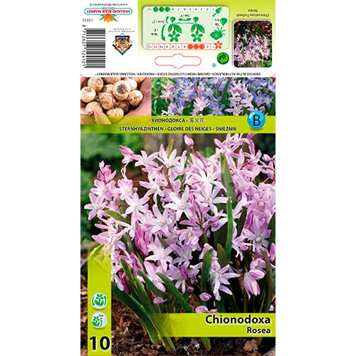 Hófény Rosea termék fotó 1 Hófény Rosea kép 1 termék 67323