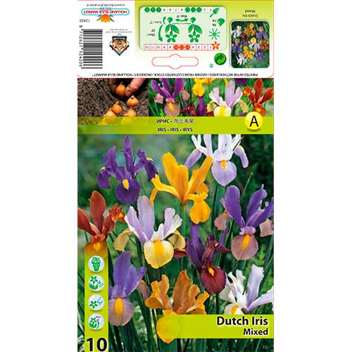 Holland írisz színkeverék kép 1 termék 76229