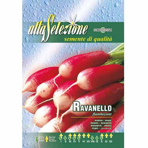 Hónapos retek Flamboyant kép 1 termék 96394