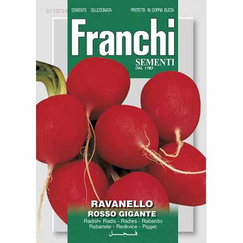 Hónapos retek Rosso Gigante kép 1 termék 87167