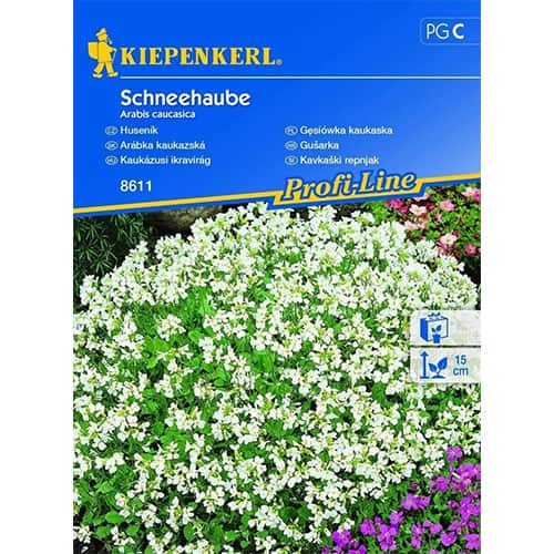 Ikravirág kaukázusi kép 1 termék 96511