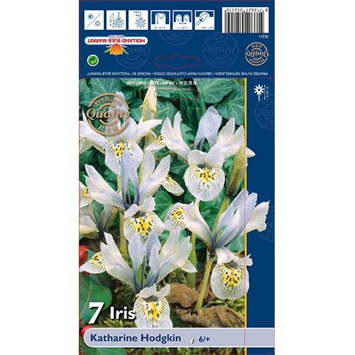 Írisz Katharine Hodgkin kép 1 termék 70226