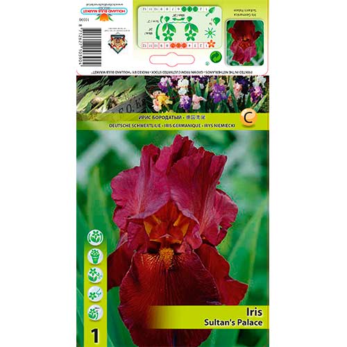 Írisz német Sultan's Palace kép 1 termék 76292