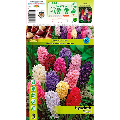 Jácint, mix kép 1 termék 68057