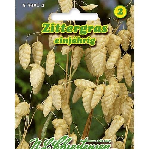 Japánfű (Briza maxima) Chrestensen kép 1 termék 86125