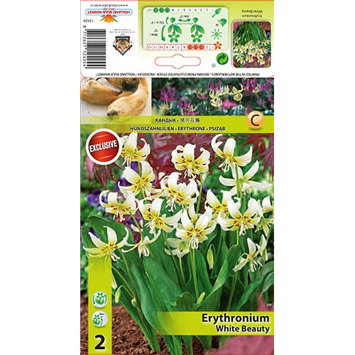 Kakasmandikó White Beauty kép 1 termék 67351