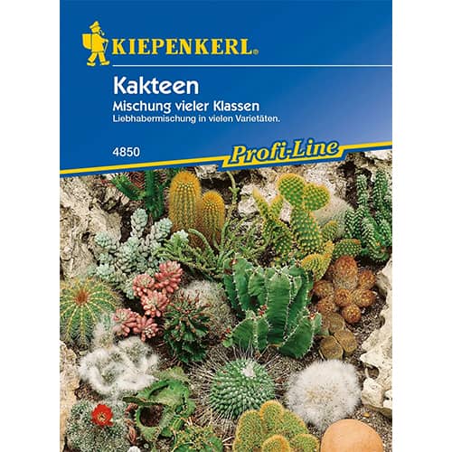 Kaktusz, színkeverék termék fotó 1 Kaktusz, színkeverék kép 1 termék 96544