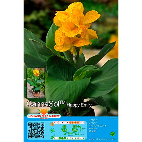 Kánna Happy Emily kép 1 termék 76402