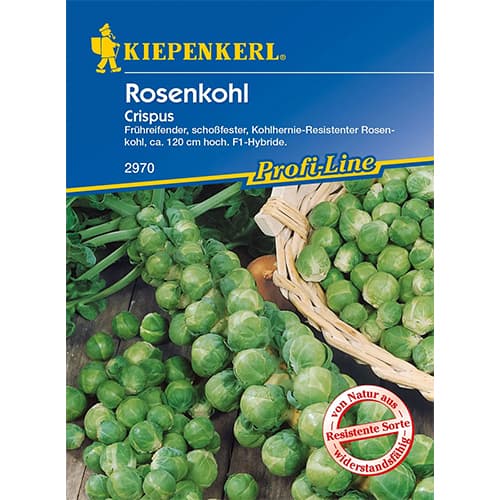 Kelbimbó Crispus kép 1 termék 96658