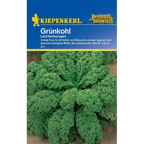 Kelkáposzta Lerchenzungen kép 1 termék 77502