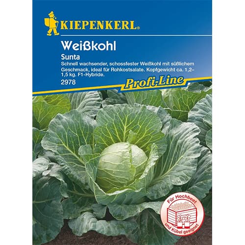 Fehér káposzta Sunta F1 kép 1 termék 87297