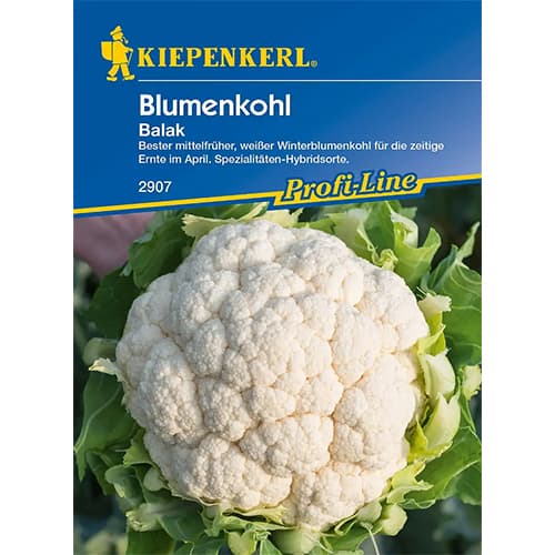 Karfiol Balak F1 termék fotó 1 Karfiol Balak F1 kép 1 termék 86391
