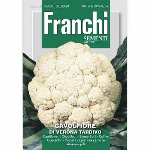 Karfiol di Verona Tardivo termék fotó 1 Karfiol di Verona Tardivo kép 1 termék 87150