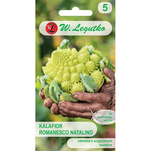 Karfiol Romanesco kép 1 termék 69477