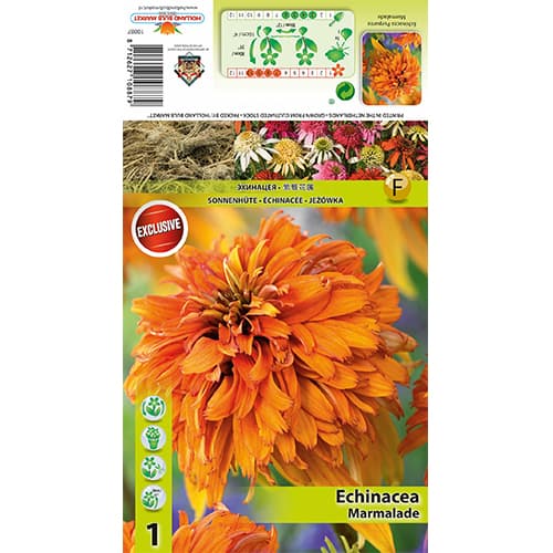 Kasvirág Marmalade kép 1 termék 77832