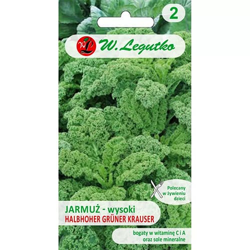 Kelkáposzta Halbhoher Grüner Krauser (Green Curled) termék fotó 1 Kelkáposzta Halbhoher Grüner Krauser (Green Curled) kép 1 termék 86869