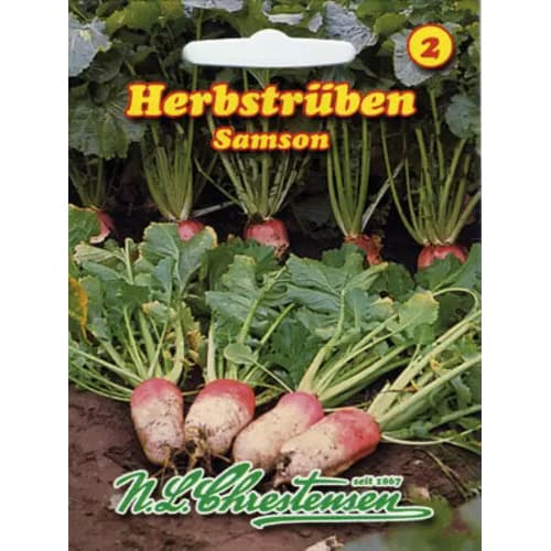 Retek őszi Samson termék fotó 1 Retek őszi Samson kép 1 termék 96476