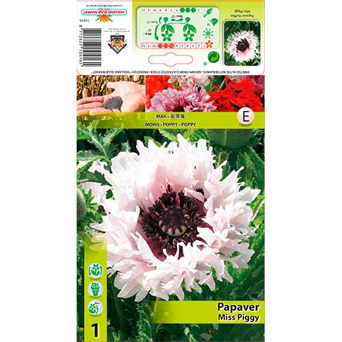 Kerti mák (Papaver) Miss Piggy Ruffles kép 1 termék 76343