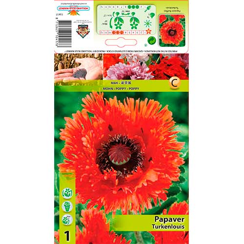 Kerti mák (Papaver) Ruffles Turkenlouis kép 1 termék 76609