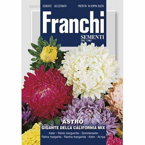 Kerti őszirózsa Kaliforniaí Óriás, mix termék fotó 1 Kerti őszirózsa Kaliforniaí Óriás, mix kép 1 termék 87130