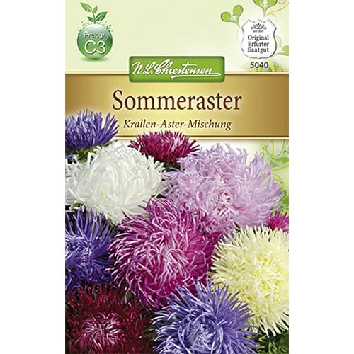 Kerti őszirózsa Krallen, színkeverék kép 1 termék 87804