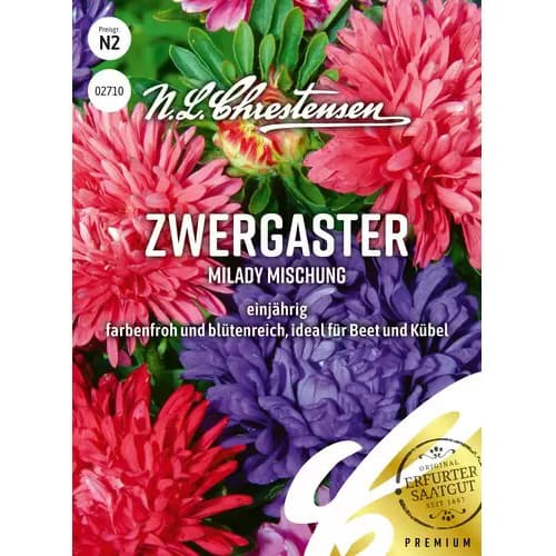 Kerti őszirózsa Milady, színkeverék termék fotó 1 Kerti őszirózsa Milady, színkeverék kép 1 termék 87825