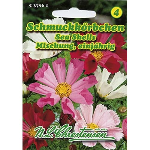 Kerti pillangóvirág Sea Shells, színkeverék kép 1 termék 87805