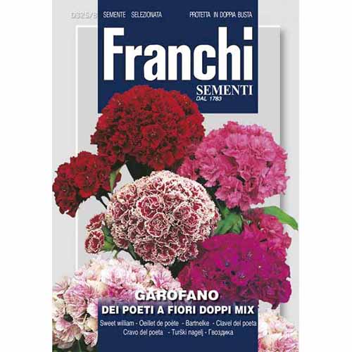 Kerti szegfű dupla virággal, mix termék fotó 1 Kerti szegfű dupla virággal, mix kép 1 termék 87318