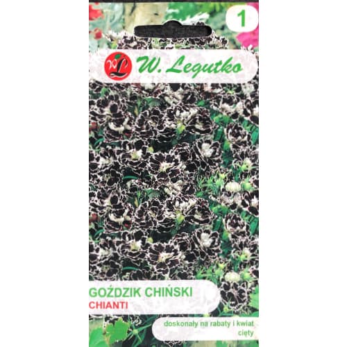 Kínai szegfű Chianti Legutko termék fotó 1 Kínai szegfű Chianti Legutko kép 1 termék 69592