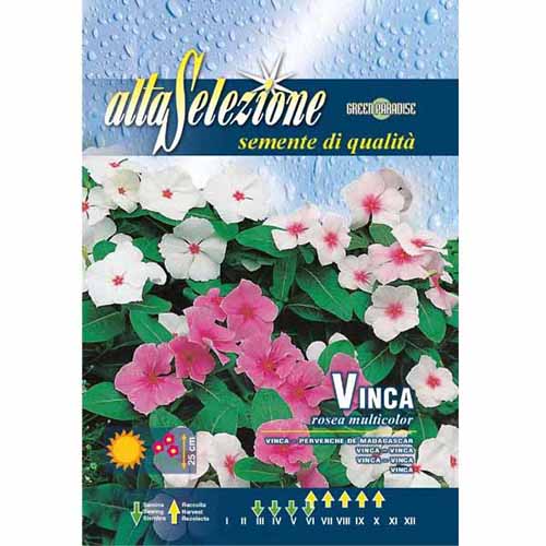 Kis meténg Madagaszkári, mix kép 1 termék 96323