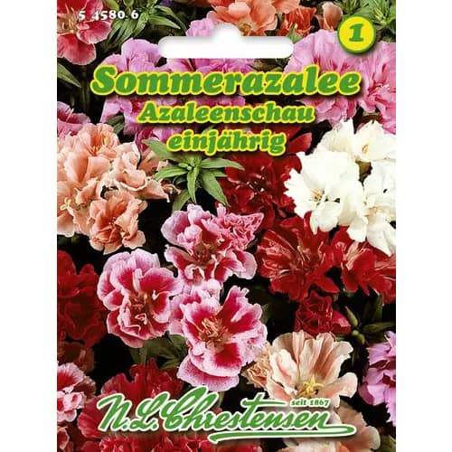 Klárcsi Azaleea Show kép 1 termék 96424