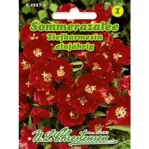 Klárcsi Deep Crimson kép 1 termék 96425