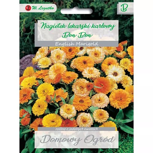 Körömvirág Bon Bon, színkeverék kép 1 termék 69660