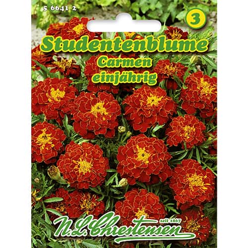 Büdöske Carmen kép 1 termék 86204