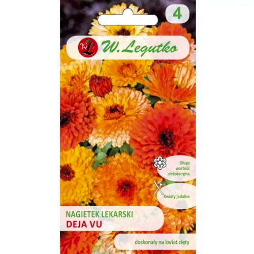 Körömvirág Deja Vu, színkeverék Legutko kép 1 termék 96759