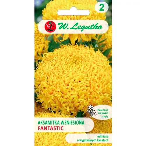 Körömvirág Fantastic sárga Legutko termék fotó 1 Körömvirág Fantastic sárga Legutko kép 1 termék 96692