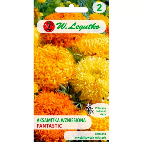 Körömvirág Fantastic, színkeverék Legutko kép 1 termék 69554