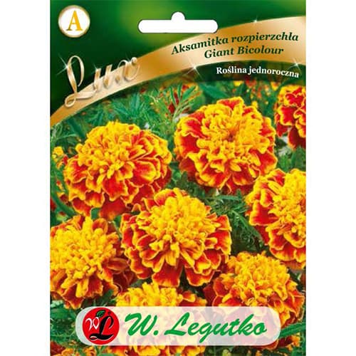 Körömvirág Giant Bicolor kép 1 termék 78650