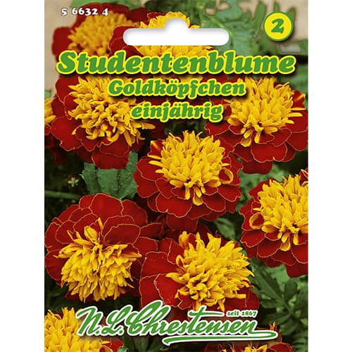 Büdöske Gold Heads termék fotó 1 Büdöske Gold Heads kép 1 termék 86207