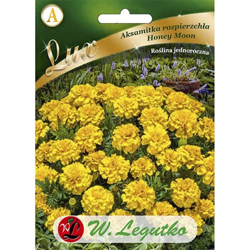 Körömvirág Honey Moon kép 1 termék 86737