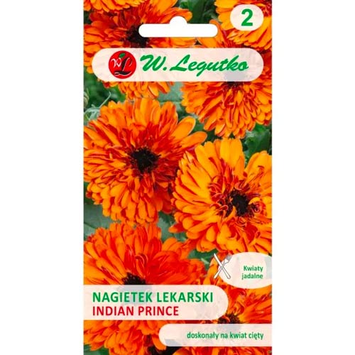 Körömvirág Indian Prince Legutko kép 1 termék 78581