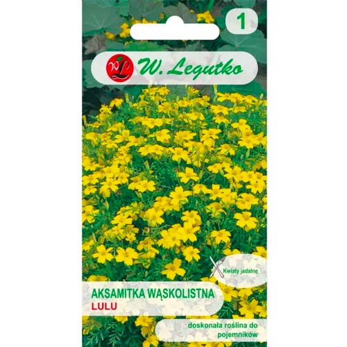 Körömvirág Lulu Legutko termék fotó 1 Körömvirág Lulu Legutko kép 1 termék 78508