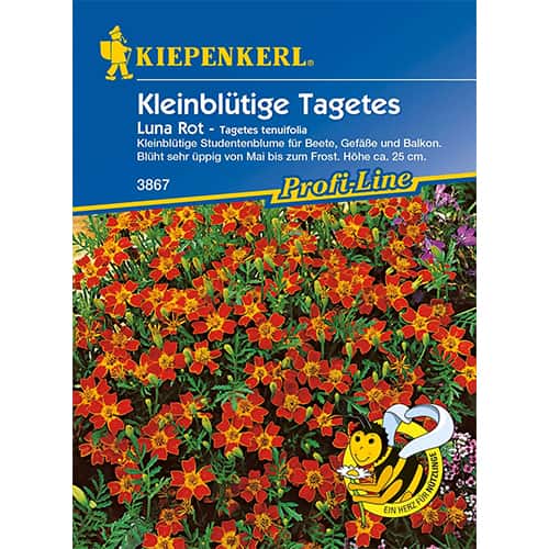 Büdöske Luna Rot termék fotó 1 Büdöske Luna Rot kép 1 termék 86349