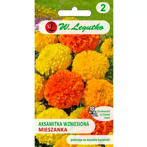 Körömvirág magas, színkeverék Legutko kép 1 termék 50082