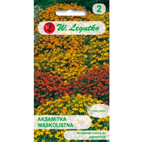 Körömvirág, Мix Legutko kép 1 termék 50079